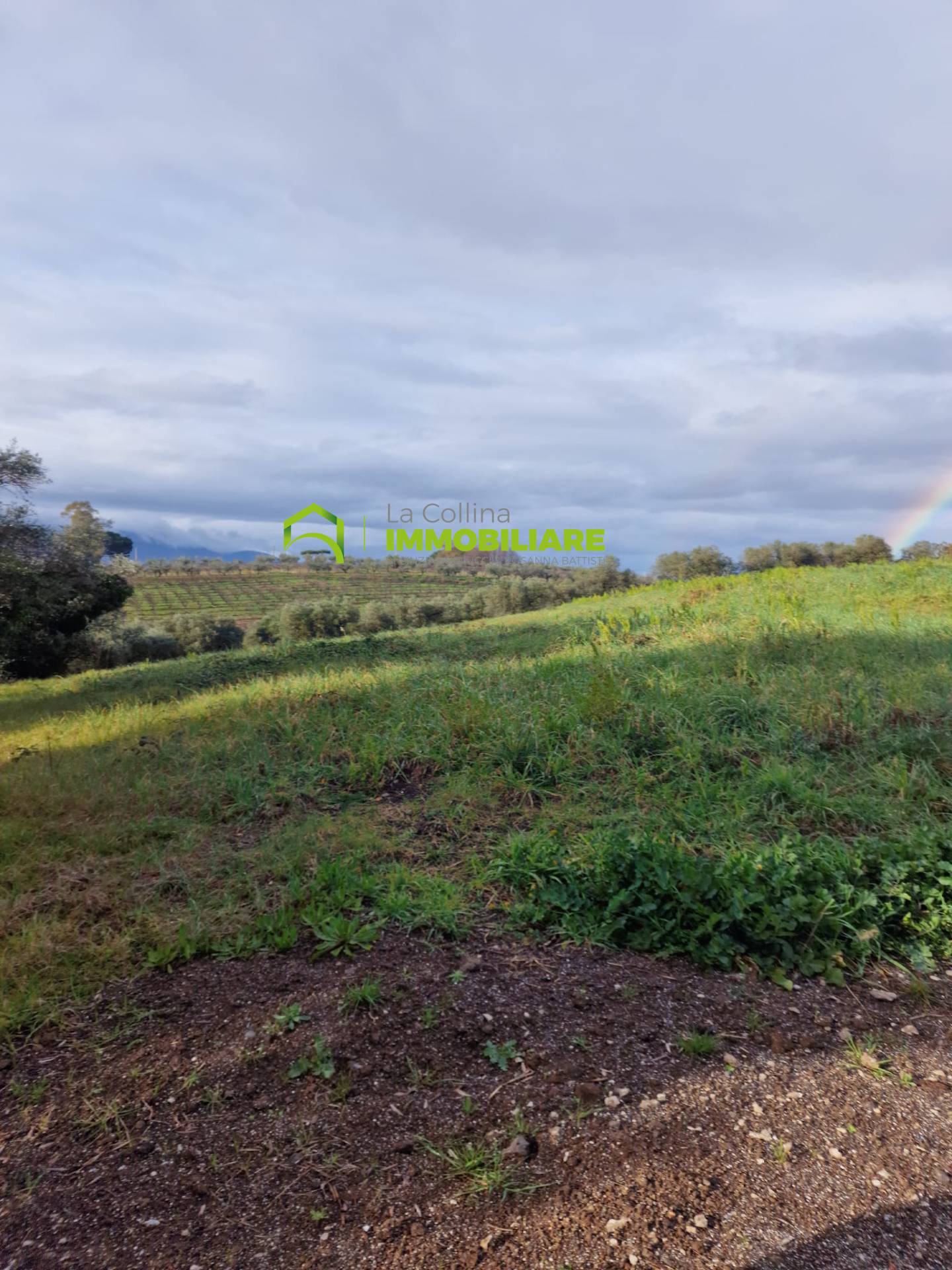 Terreno Agricolo in vendita a Velletri