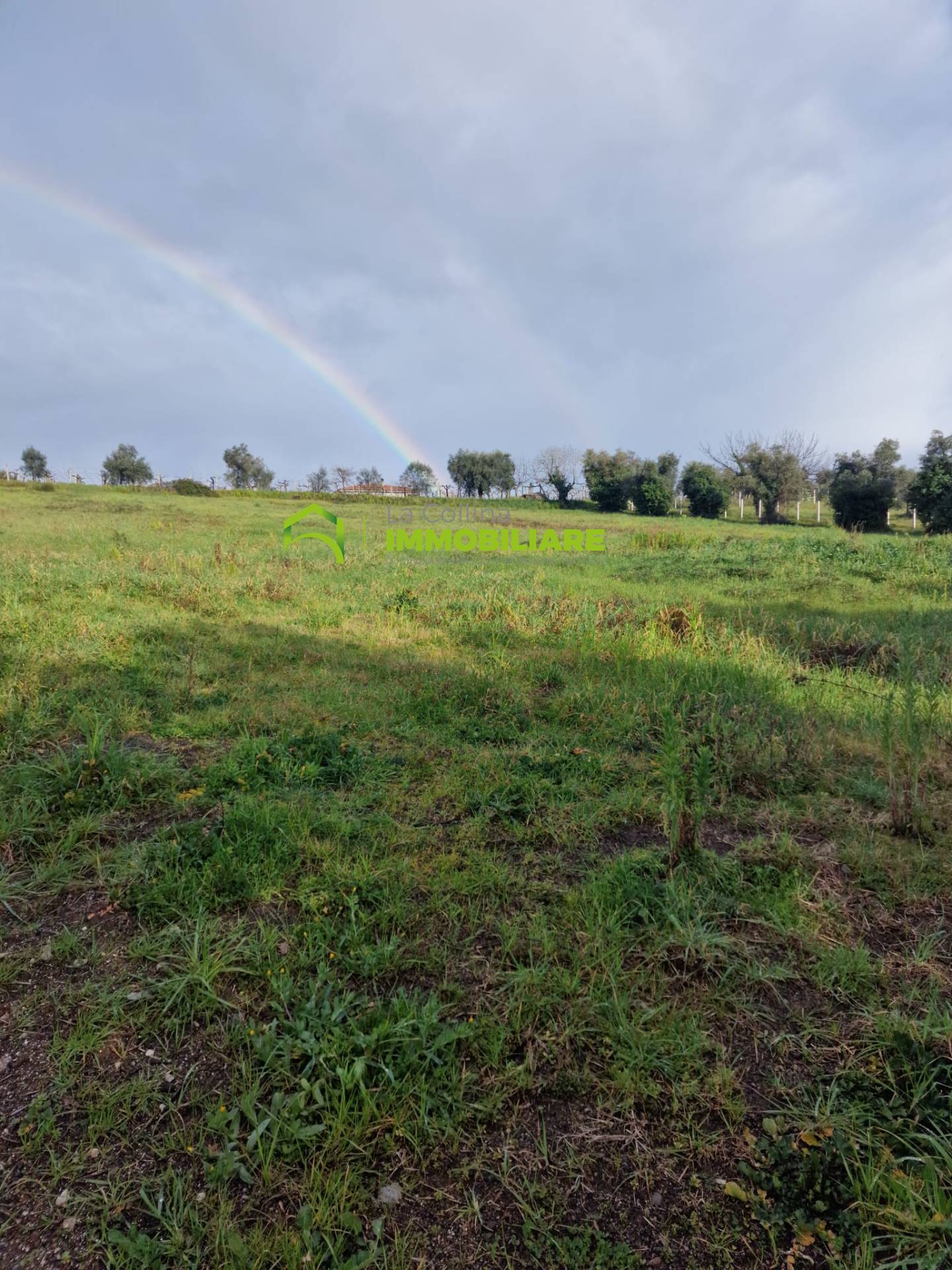 Terreno Agricolo in vendita a Velletri
