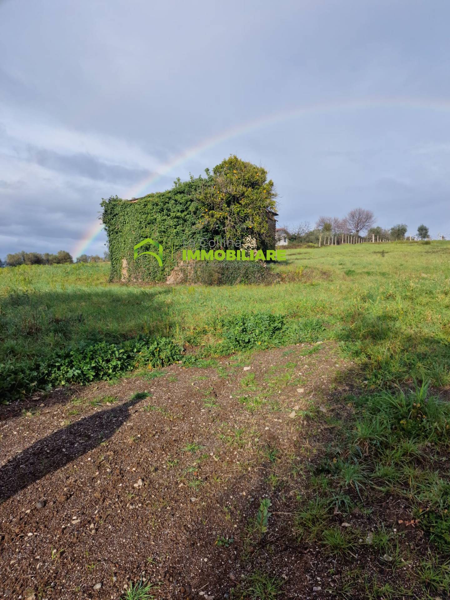 Terreno Agricolo in vendita a Velletri
