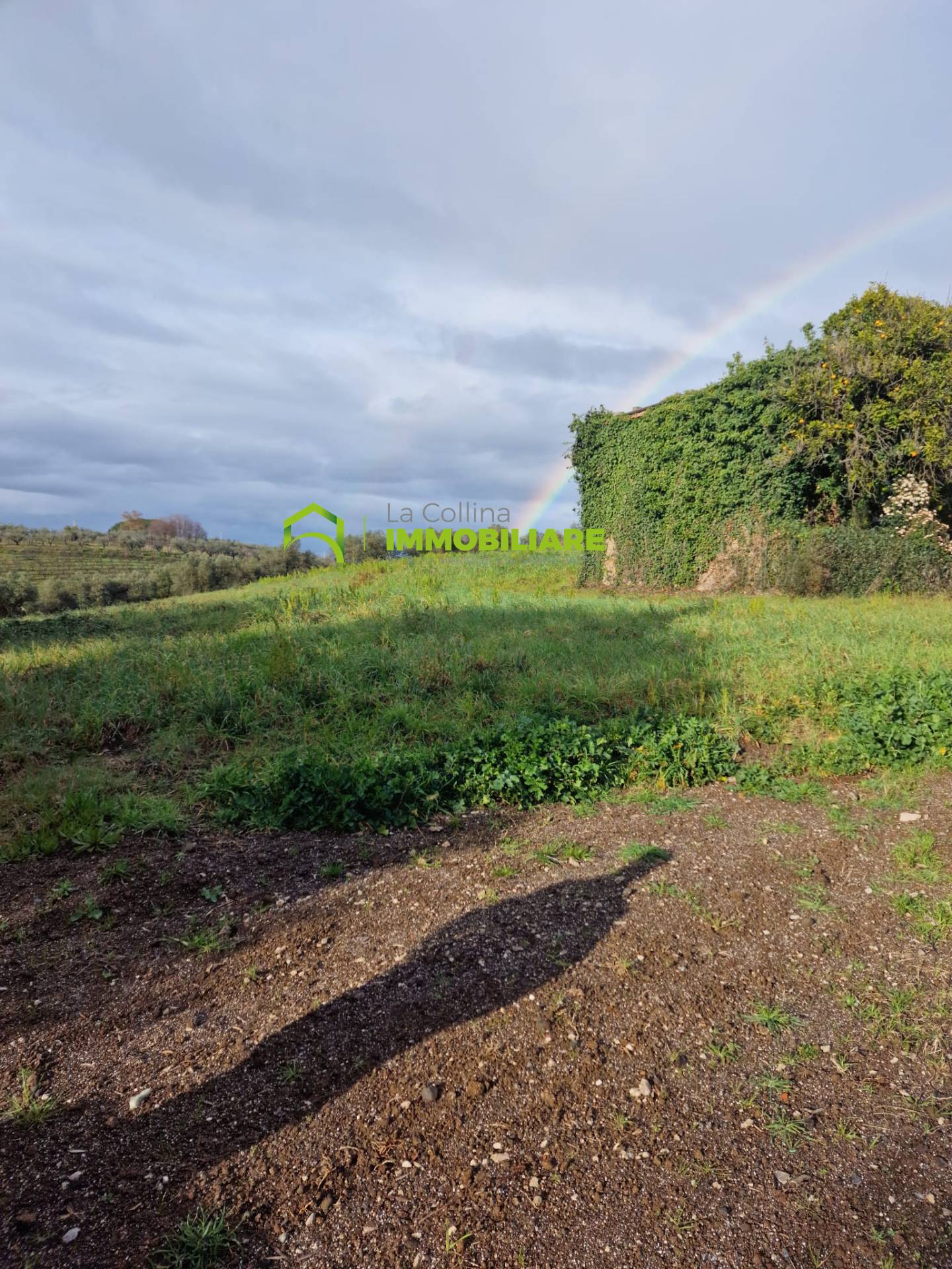 Terreno Agricolo in vendita a Velletri