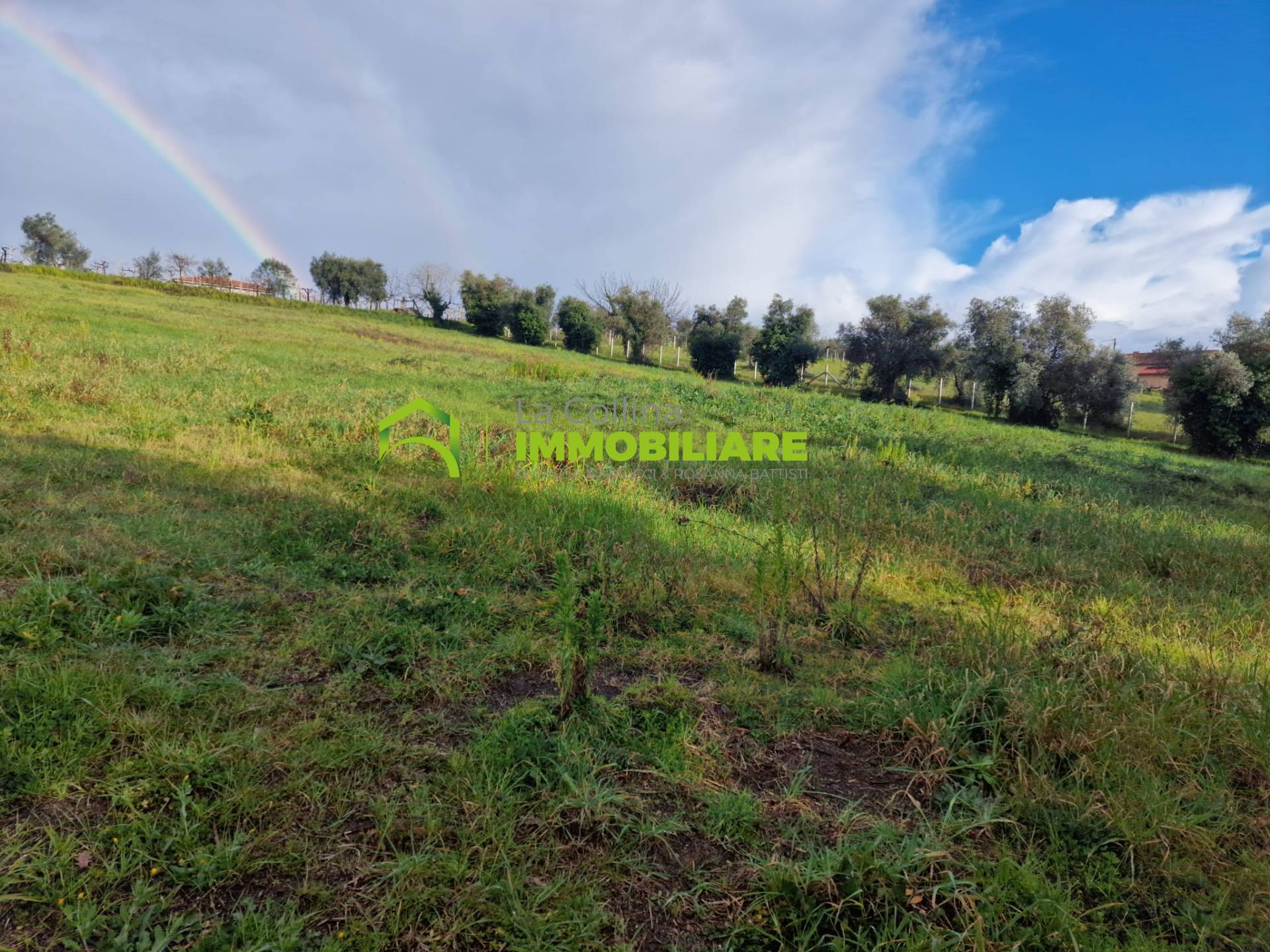 Terreno Agricolo in vendita a Velletri