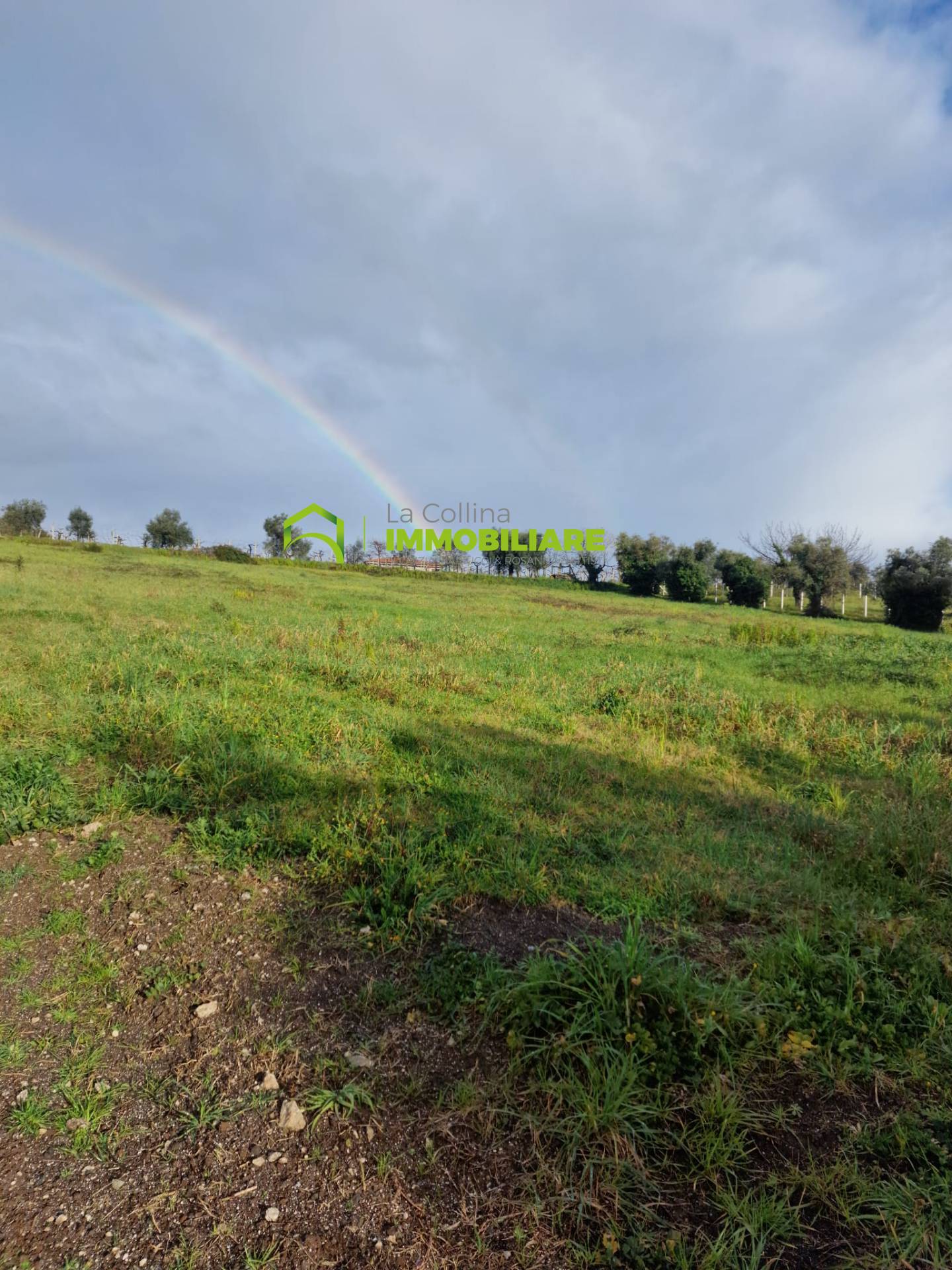 Terreno Agricolo in vendita a Velletri