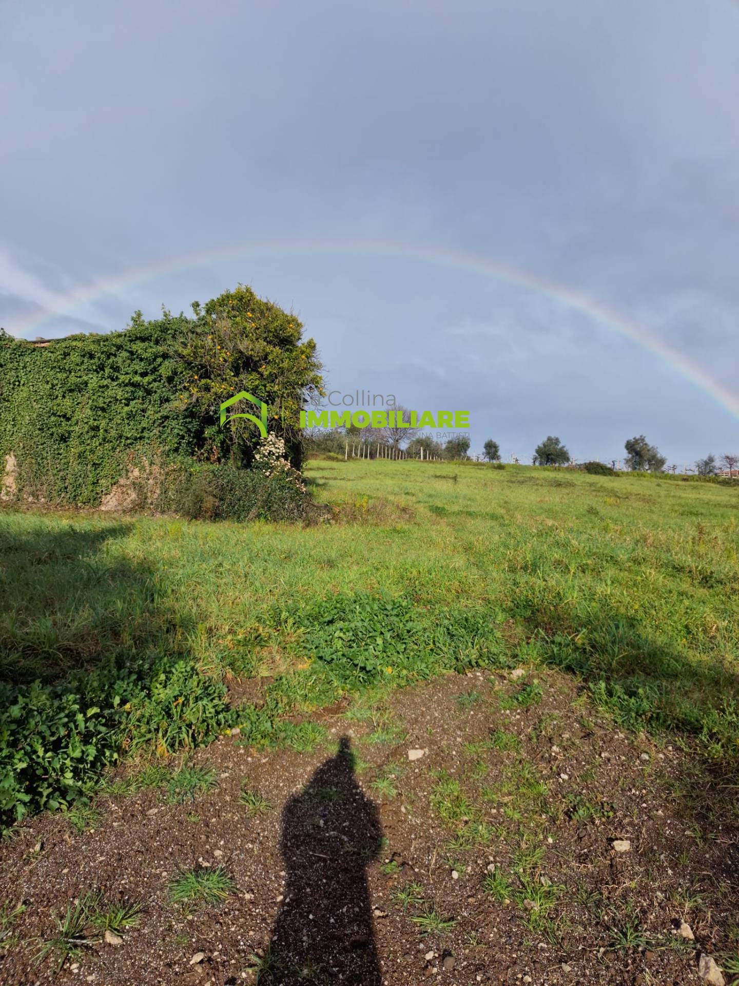 Terreno Agricolo in vendita a Velletri