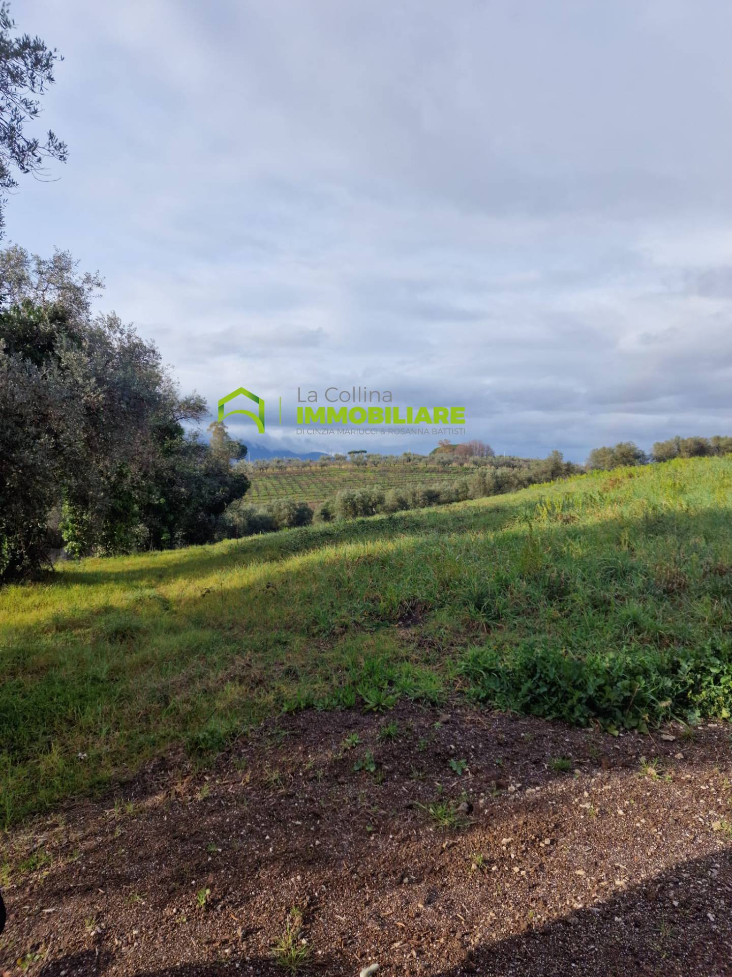 Terreno Agricolo in vendita a Velletri