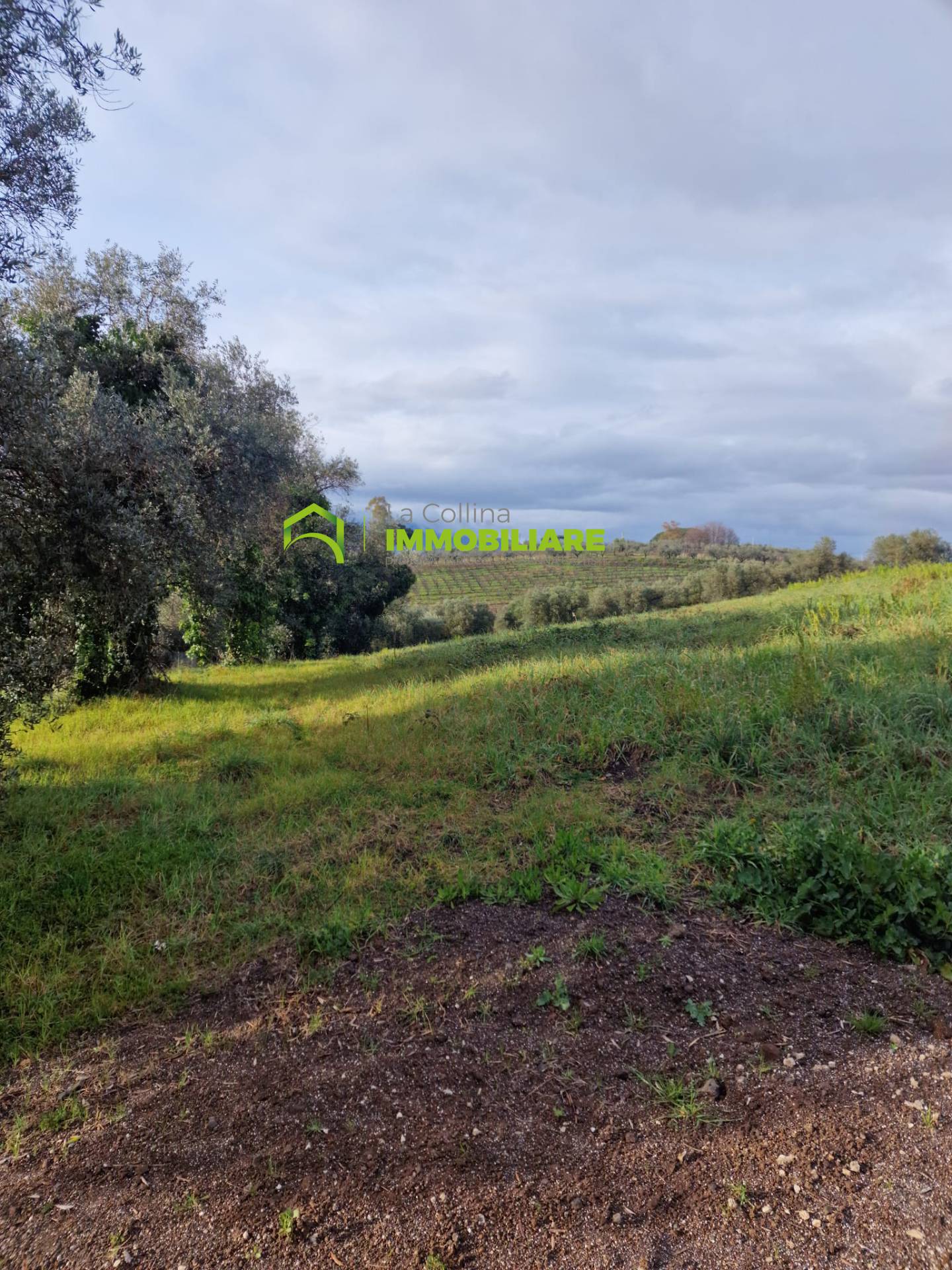 Terreno Agricolo in vendita a Velletri
