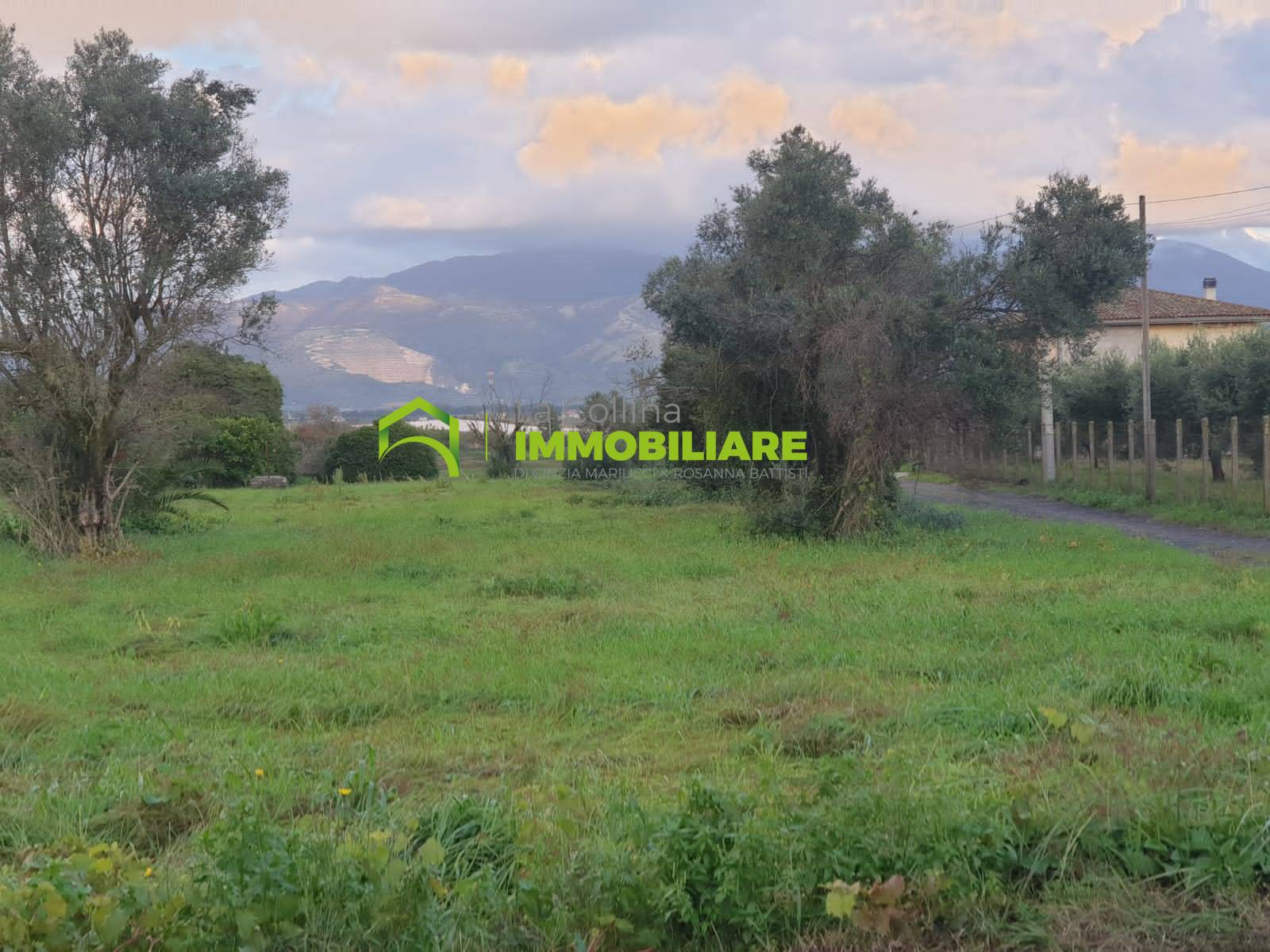 Terreno Agricolo in vendita a Velletri