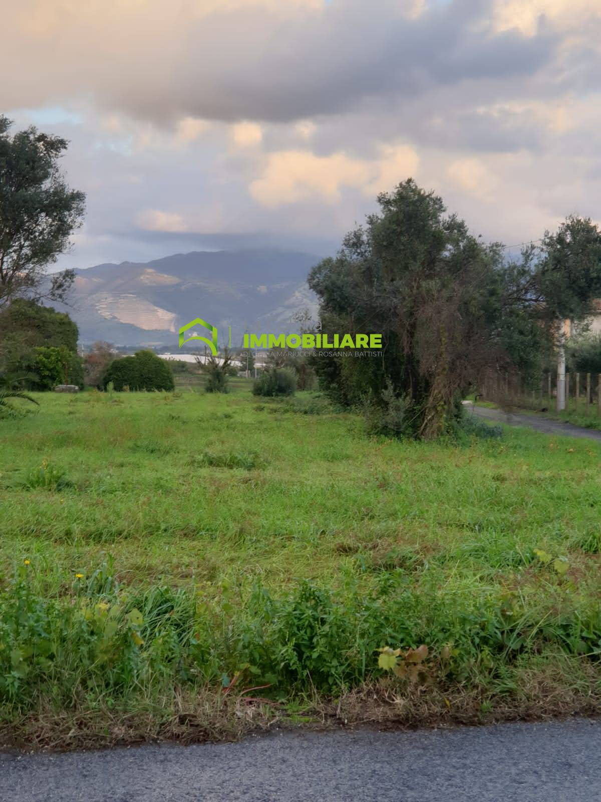 Terreno Agricolo in vendita a Velletri