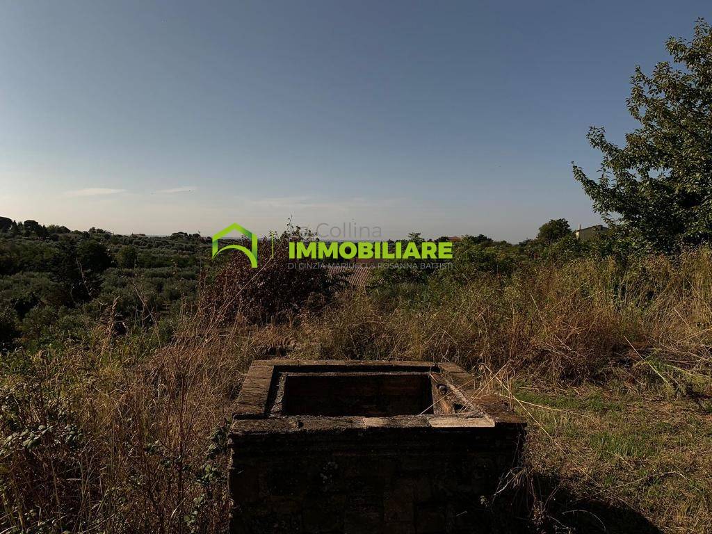 Terreno Agricolo in vendita a Velletri