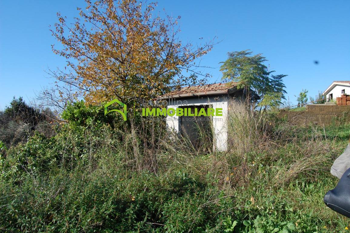 Terreno Agricolo in vendita a Velletri