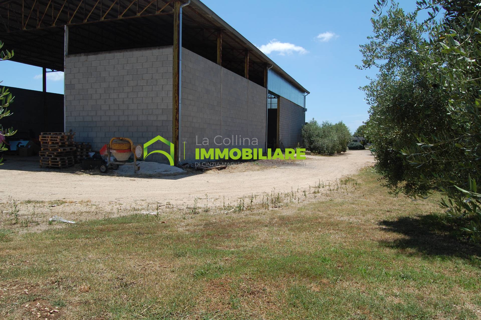 Capannone Artigianale in affitto a Cisterna di Latina