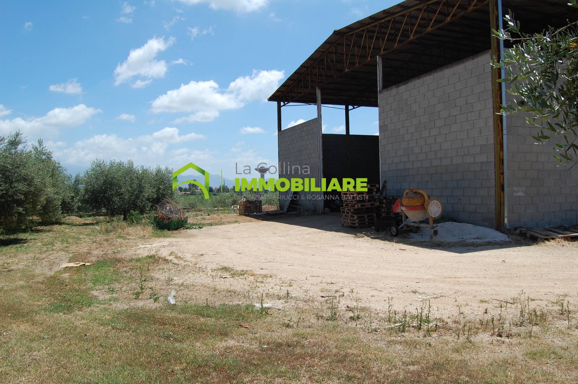 Capannone Artigianale in affitto a Cisterna di Latina