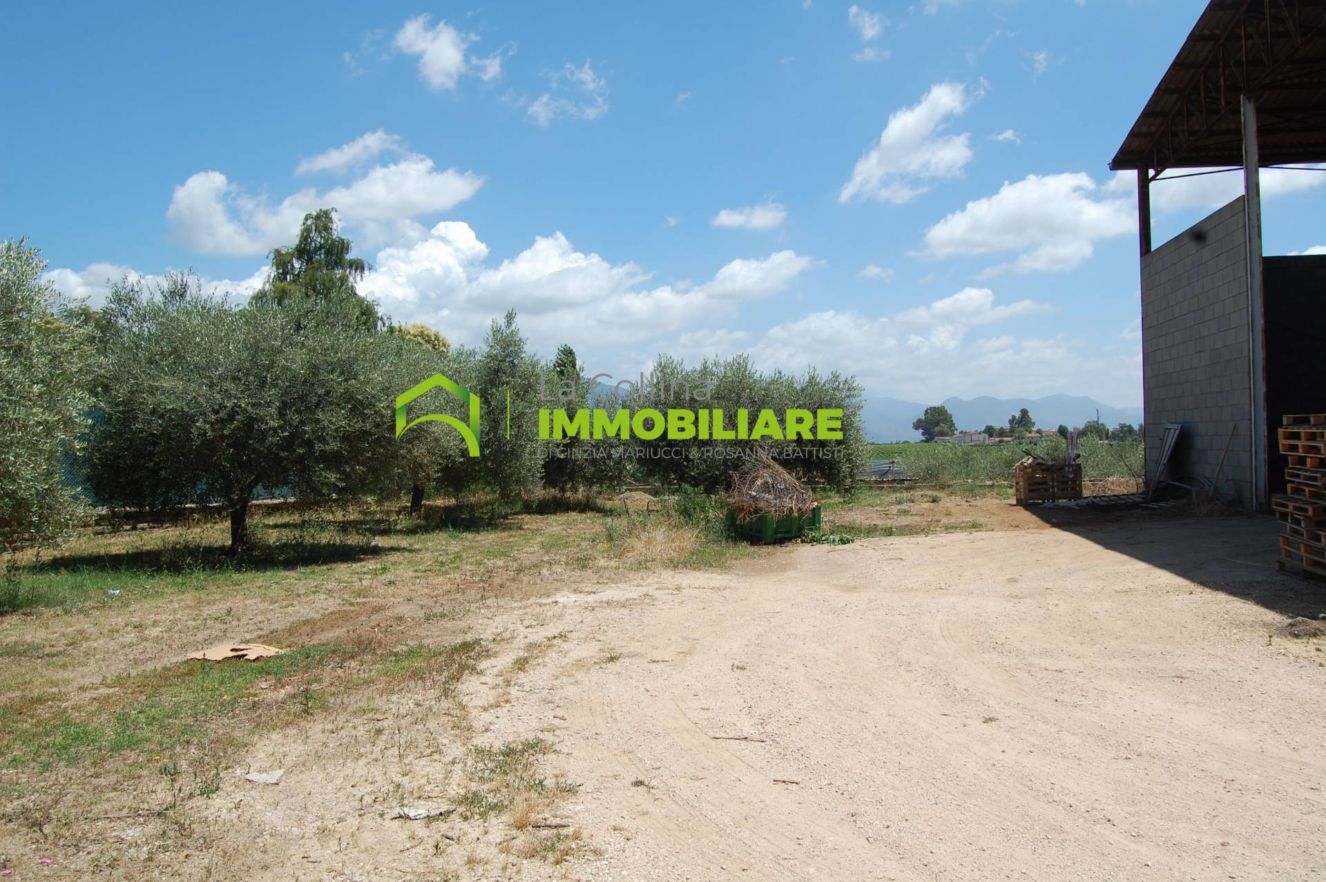 Capannone Artigianale in affitto a Cisterna di Latina