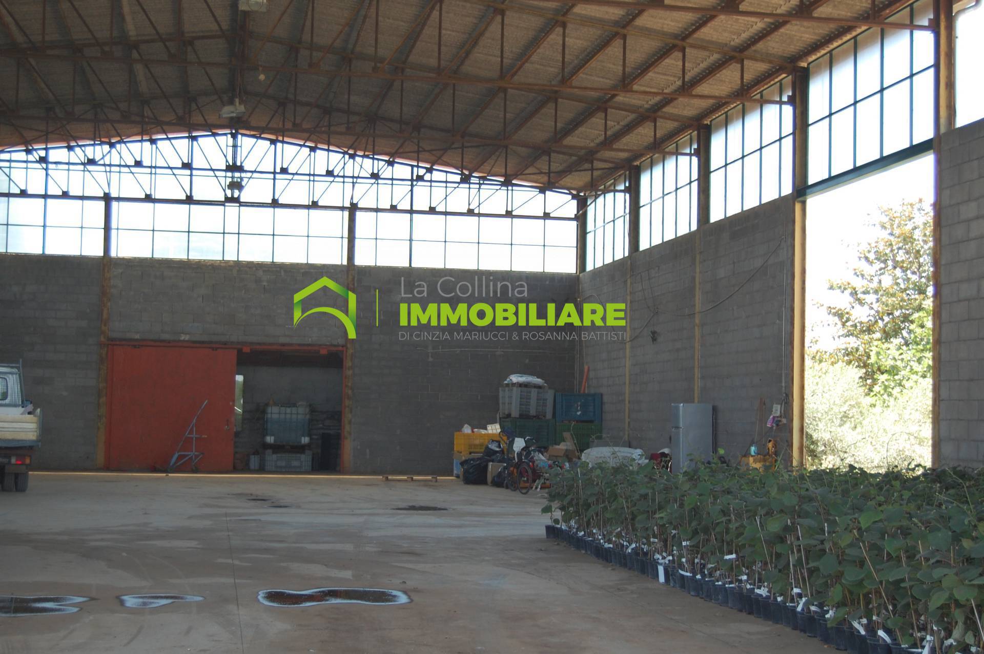 Capannone Artigianale in affitto a Cisterna di Latina
