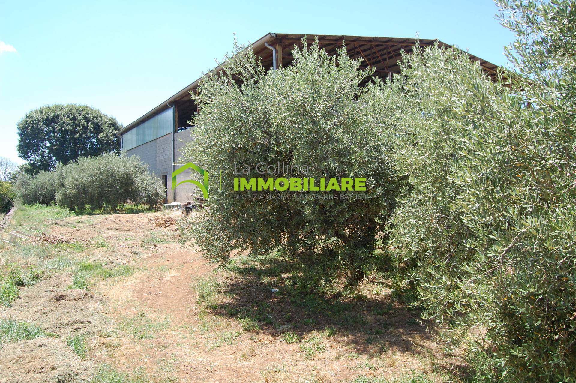 Capannone Artigianale in affitto a Cisterna di Latina