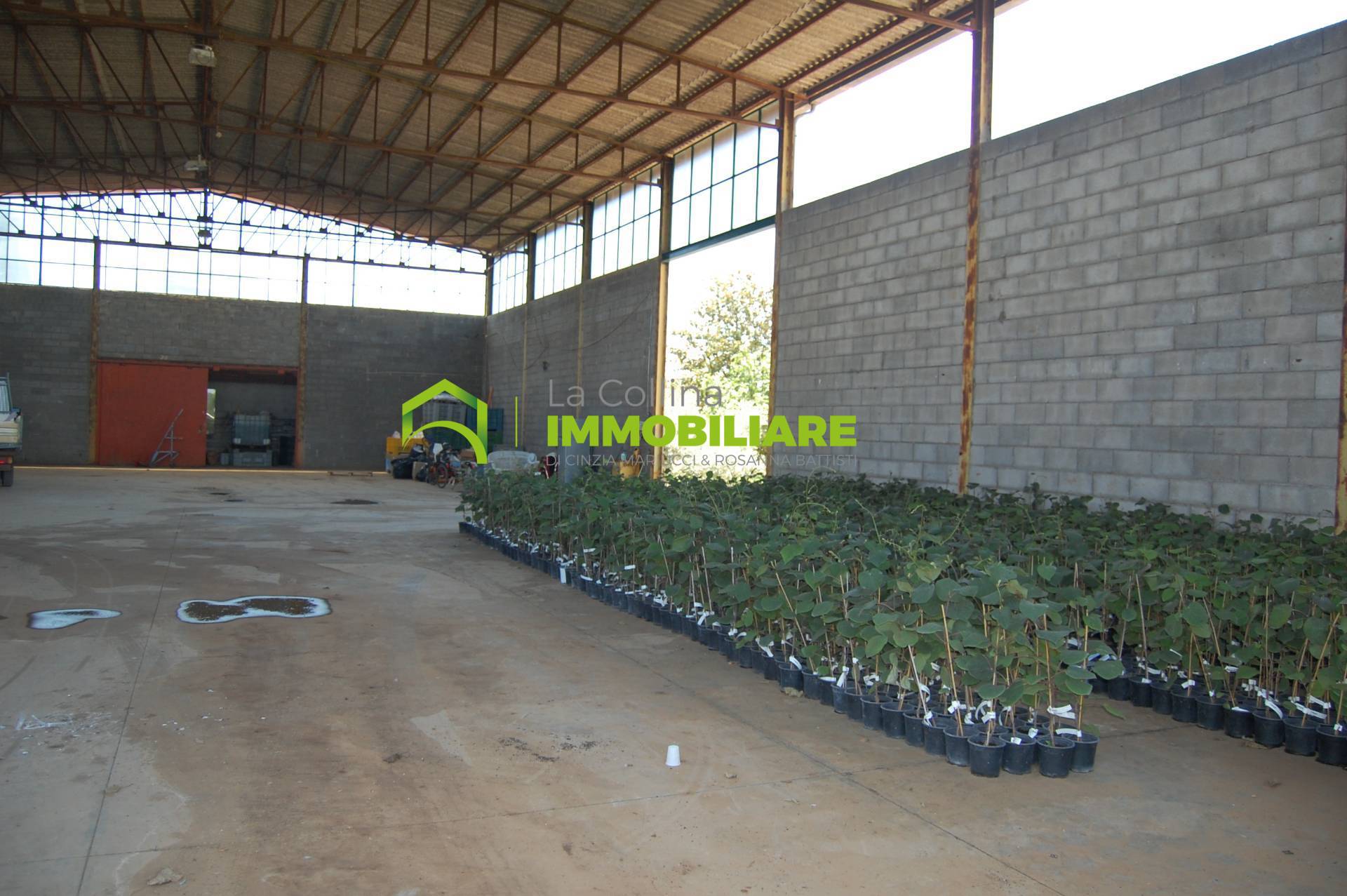 Capannone Artigianale in affitto a Cisterna di Latina