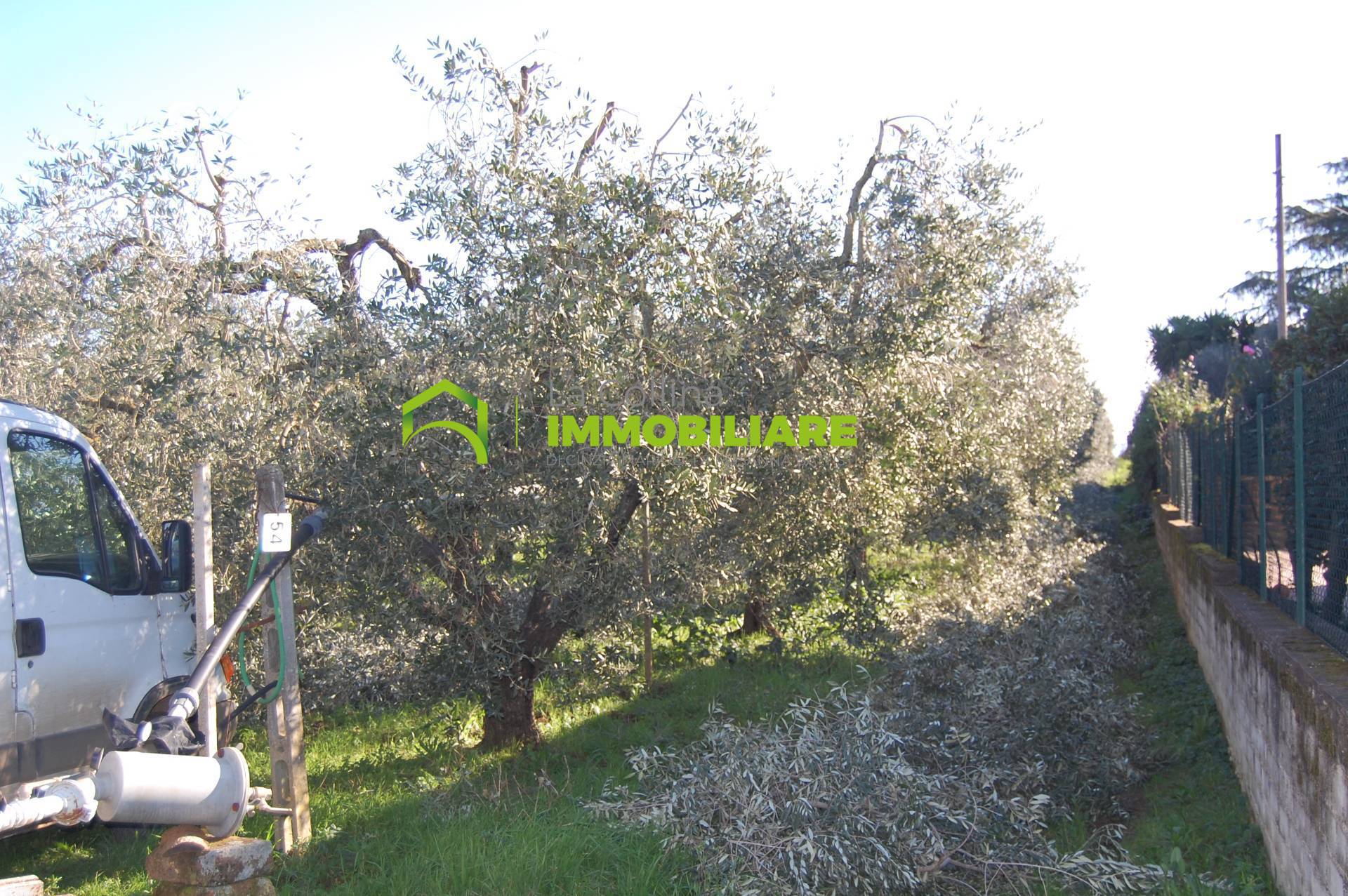 Terreno Agricolo con Magazzino in vendita a Velletri