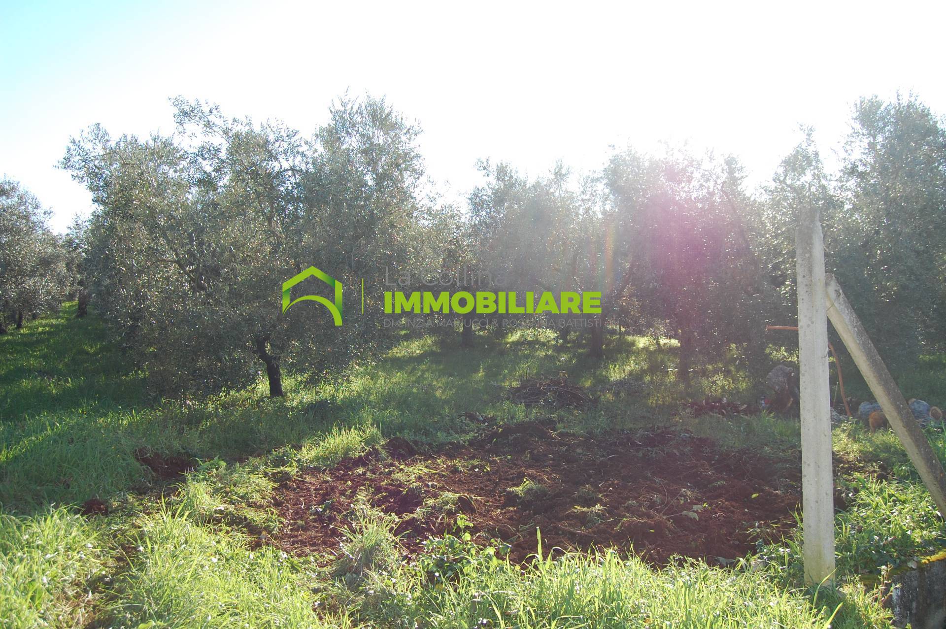 Terreno Agricolo con Magazzino in vendita a Velletri