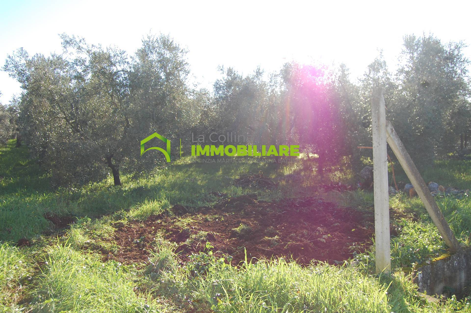 Terreno Agricolo con Magazzino in vendita a Velletri
