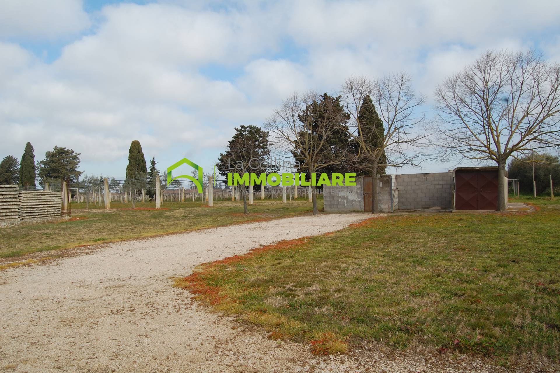 Terreno Agricolo in vendita a Cisterna di Latina, Olmobello