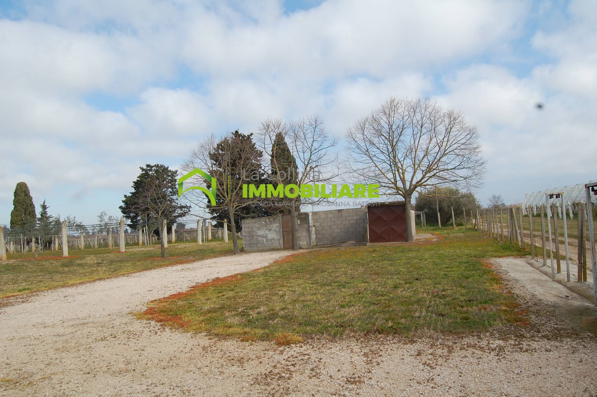 Terreno Agricolo in vendita a Cisterna di Latina, Olmobello
