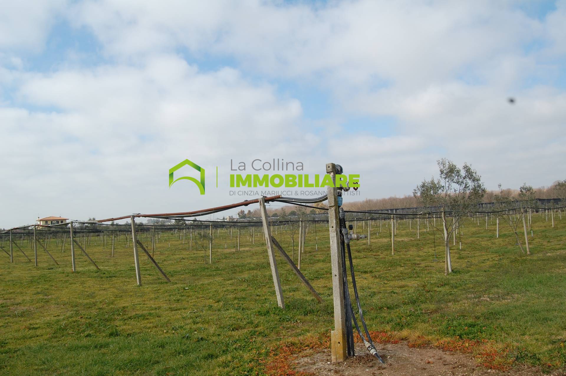 Terreno Agricolo in vendita a Cisterna di Latina, Olmobello