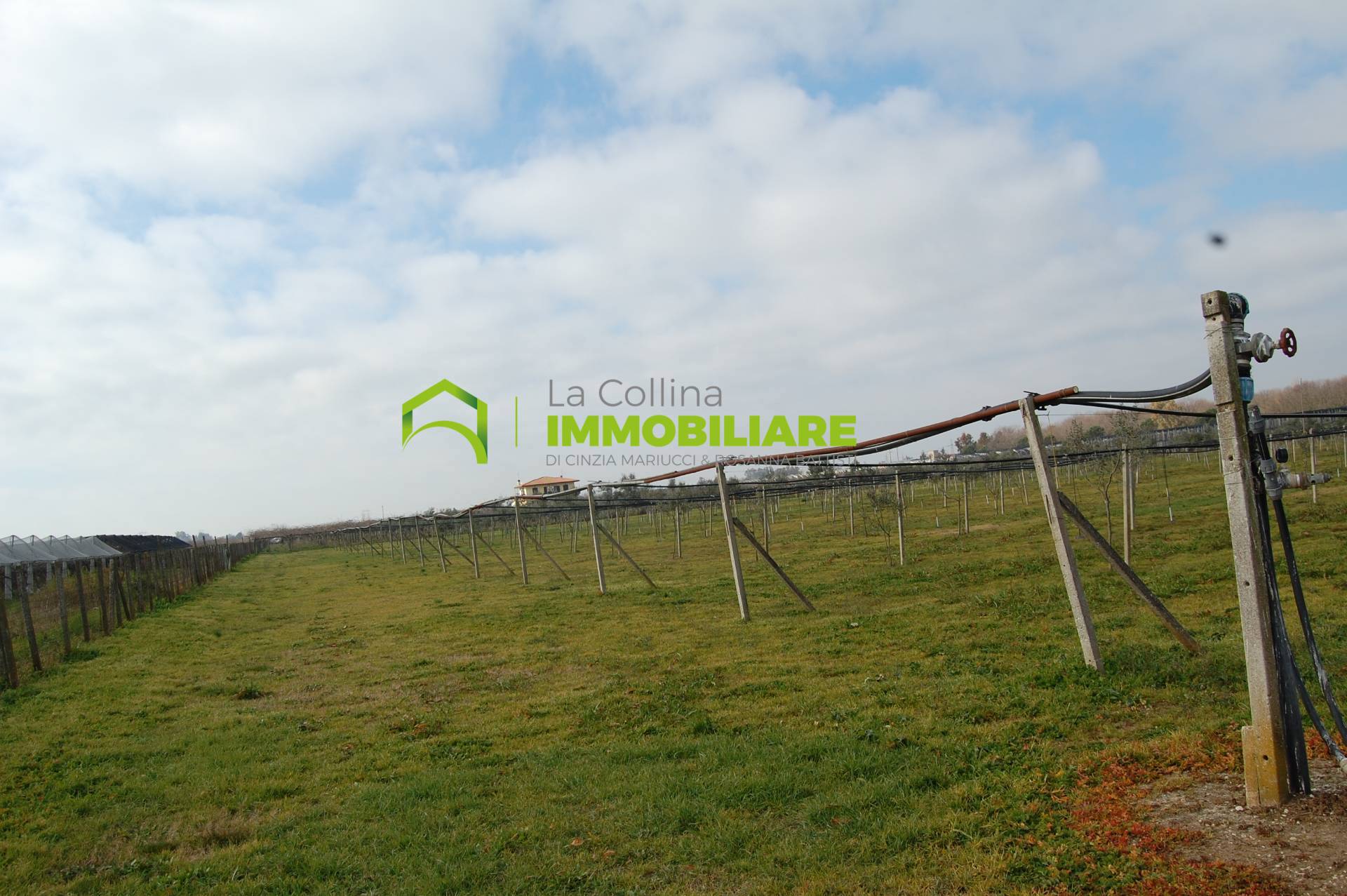 Terreno Agricolo in vendita a Cisterna di Latina, Olmobello