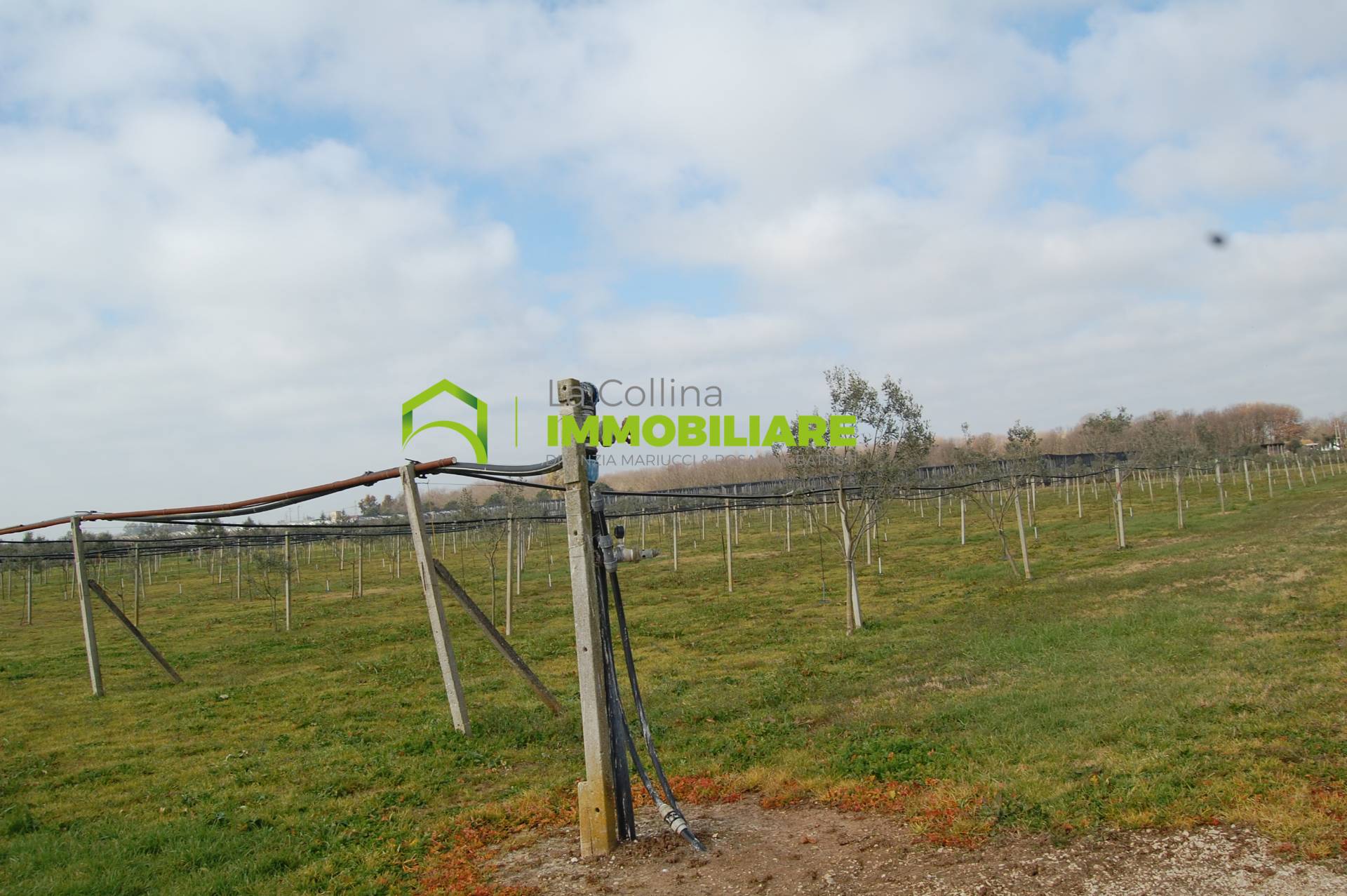Terreno Agricolo in vendita a Cisterna di Latina, Olmobello