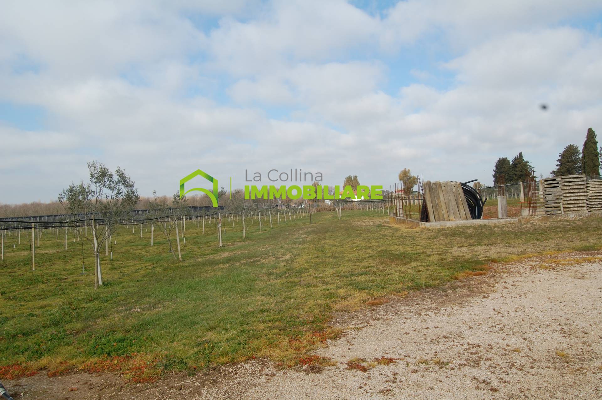 Terreno Agricolo in vendita a Cisterna di Latina, Olmobello