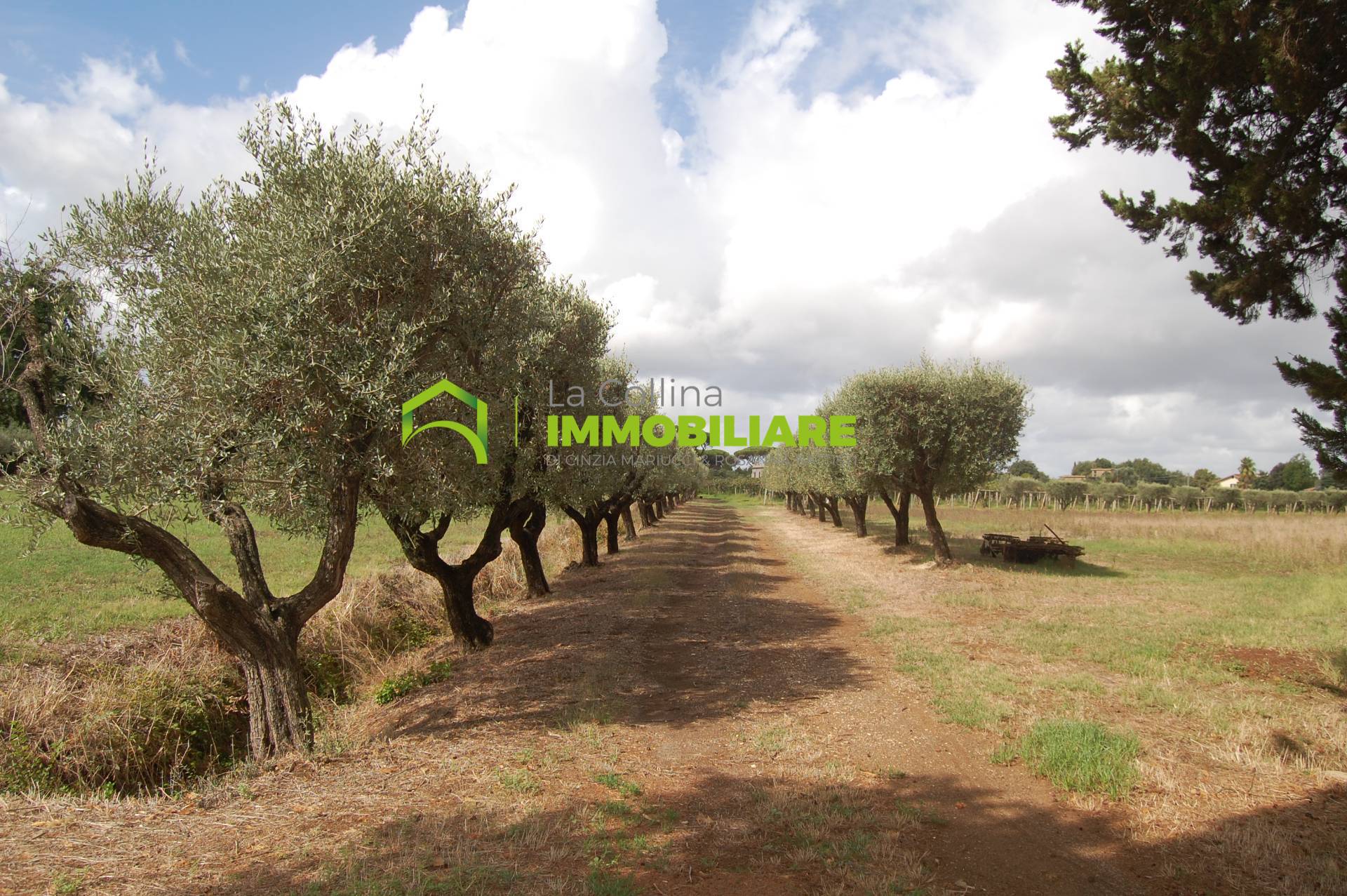 immagine annuncio 7 di 10