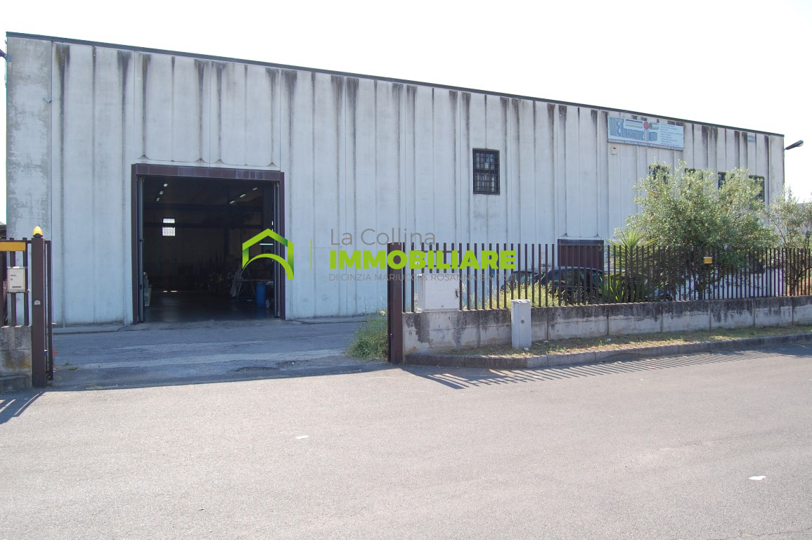 Capannone Artigianale in affitto a Cisterna di Latina