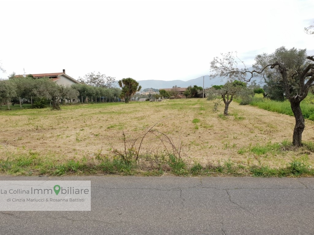 Terreno Agricolo in vendita a Velletri