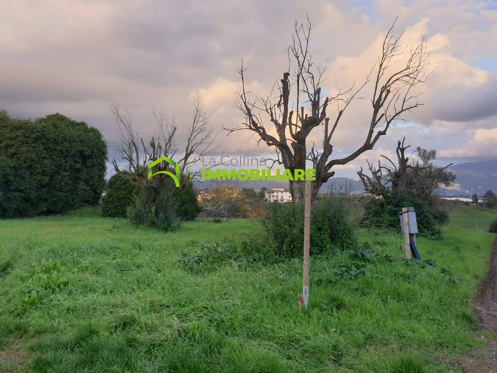Terreno Agricolo con Rustico in vendita a Velletri