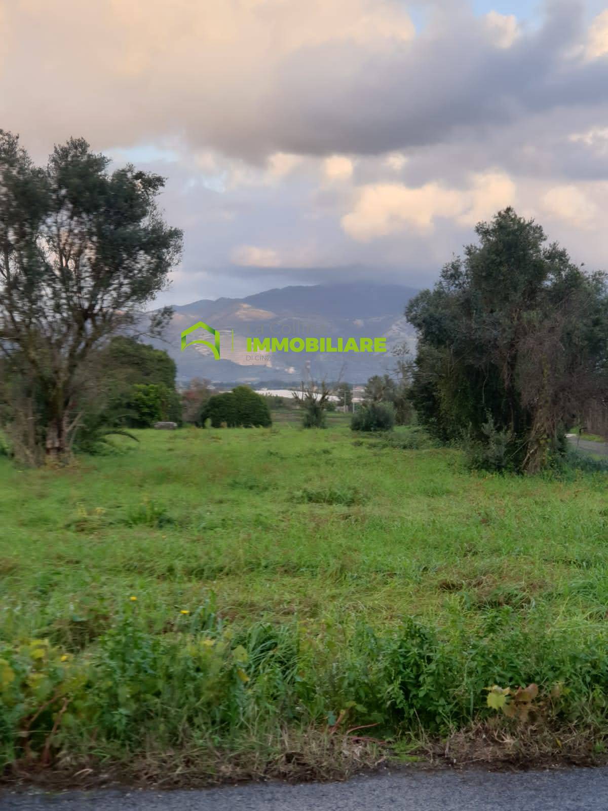 Terreno Agricolo in vendita a Velletri