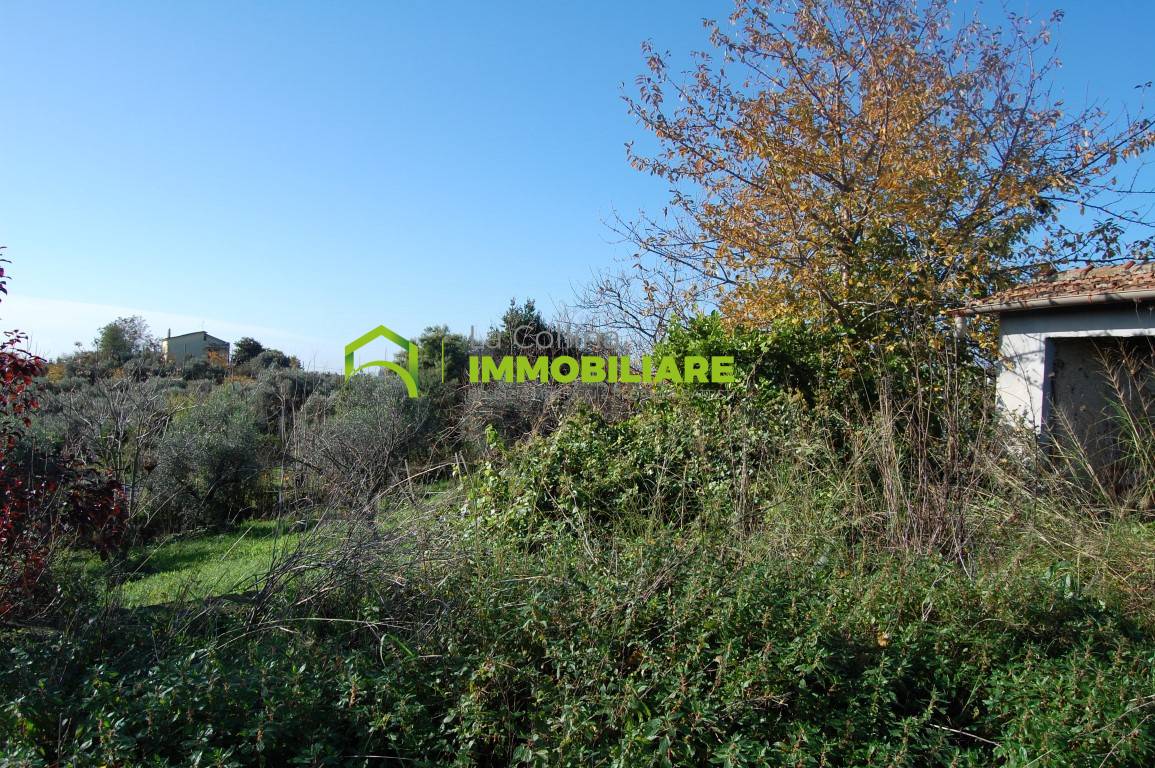 Terreno Agricolo in vendita a Velletri