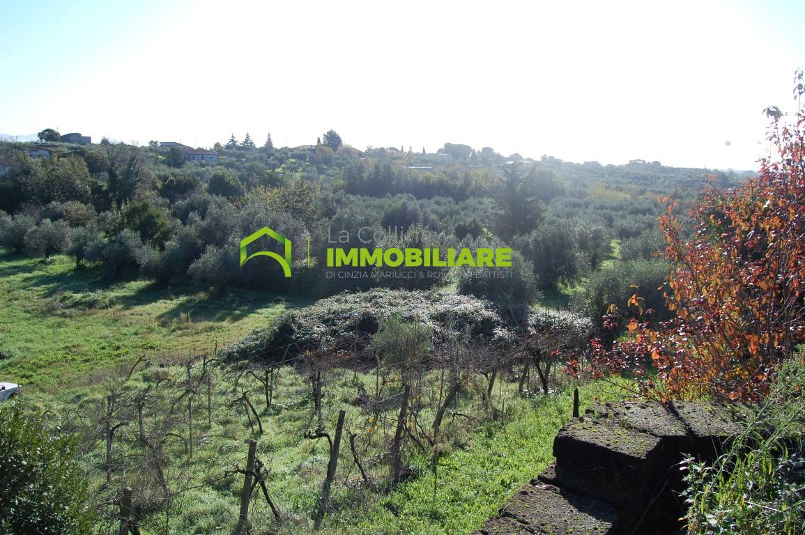 Terreno Agricolo in vendita a Velletri