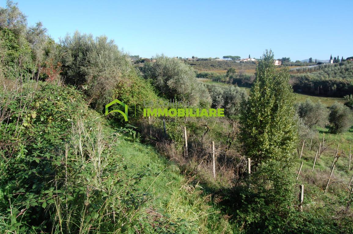 Terreno Agricolo in vendita a Velletri