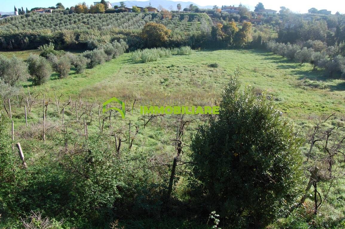 Terreno Agricolo in vendita a Velletri