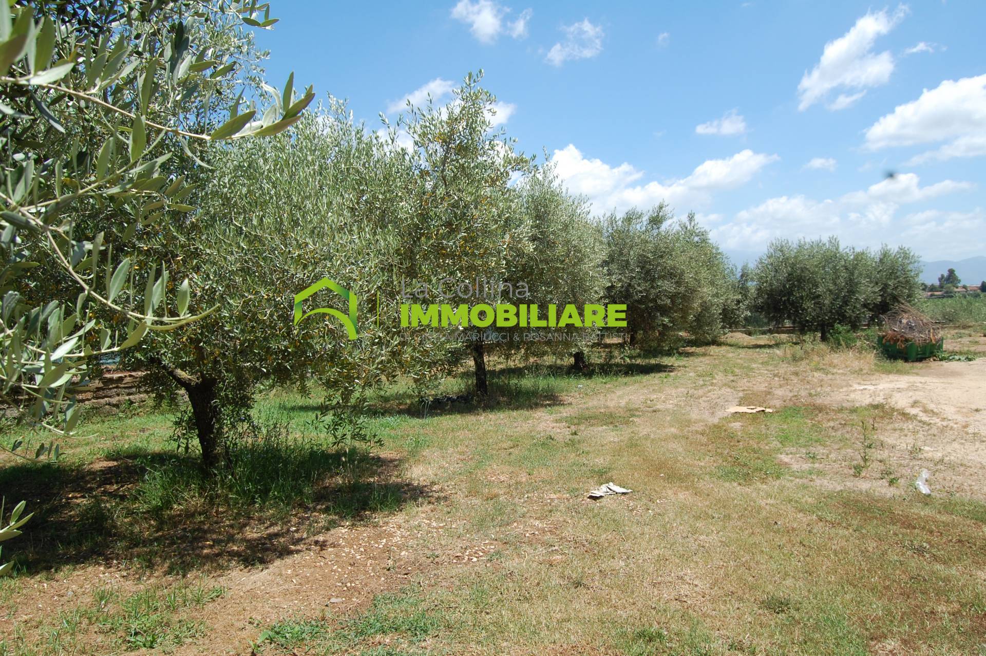 Capannone Artigianale in affitto a Cisterna di Latina