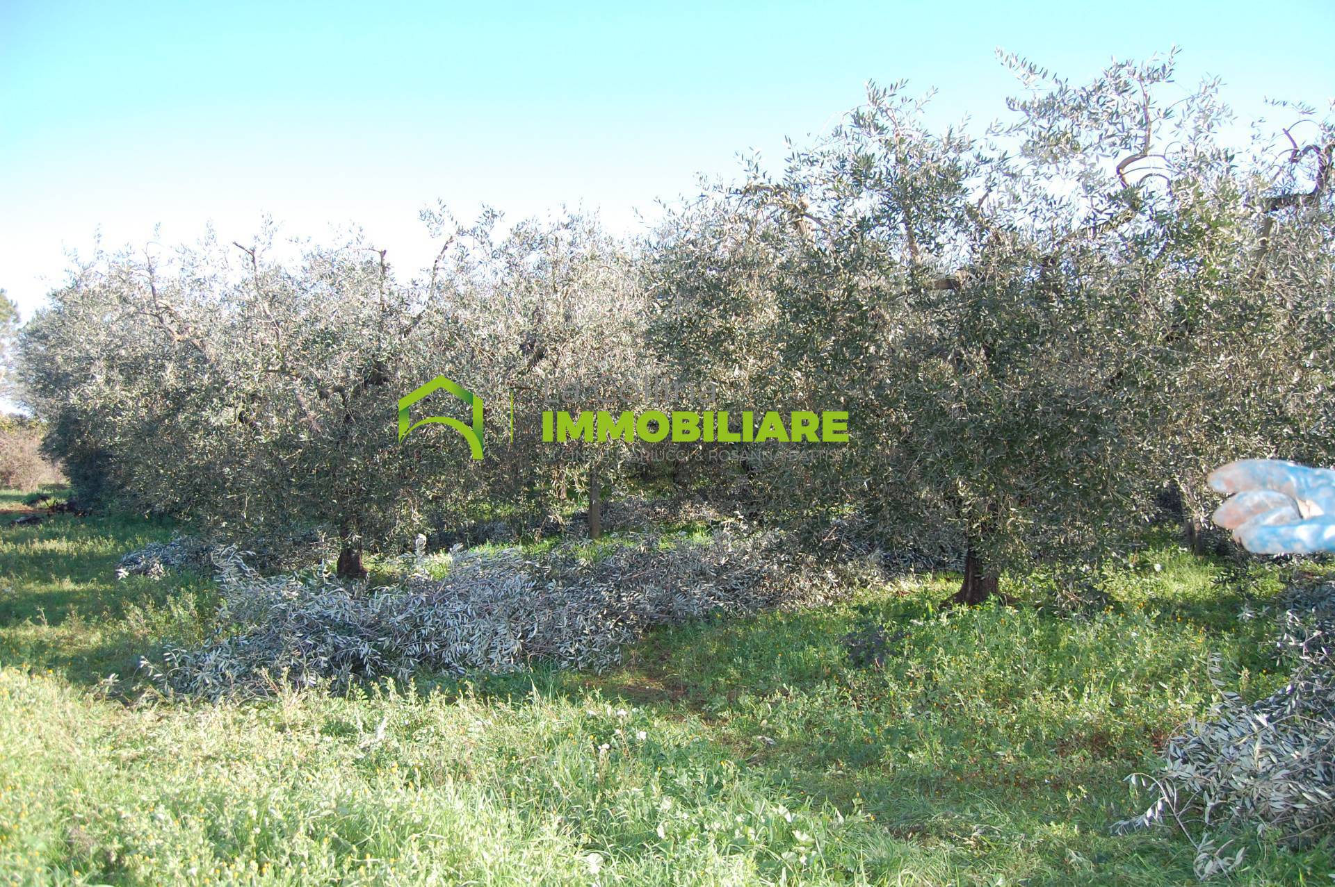 Terreno Agricolo con Magazzino in vendita a Velletri