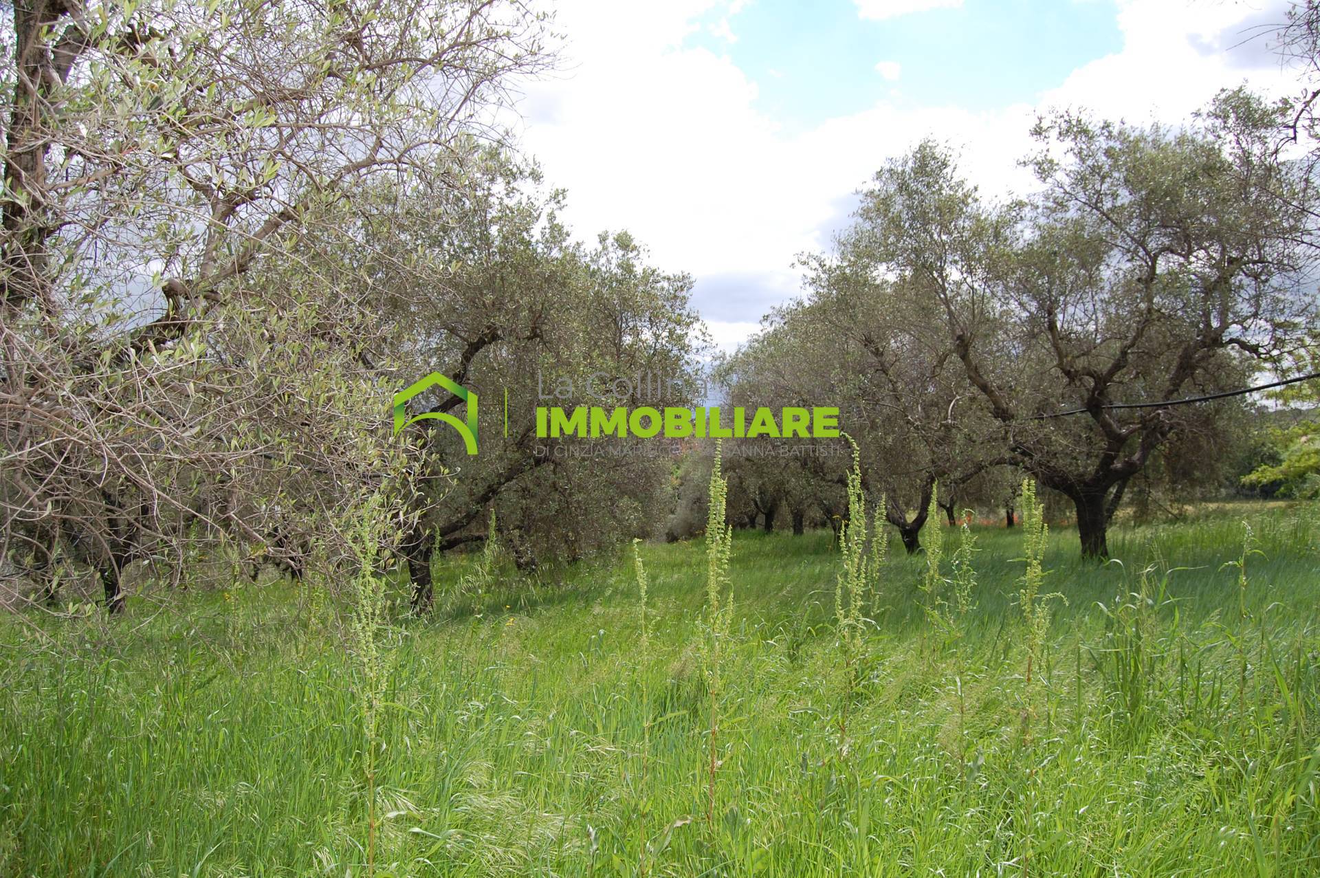 Terreno Agricolo con Magazzino in vendita a Cisterna di Latina, Le Castella