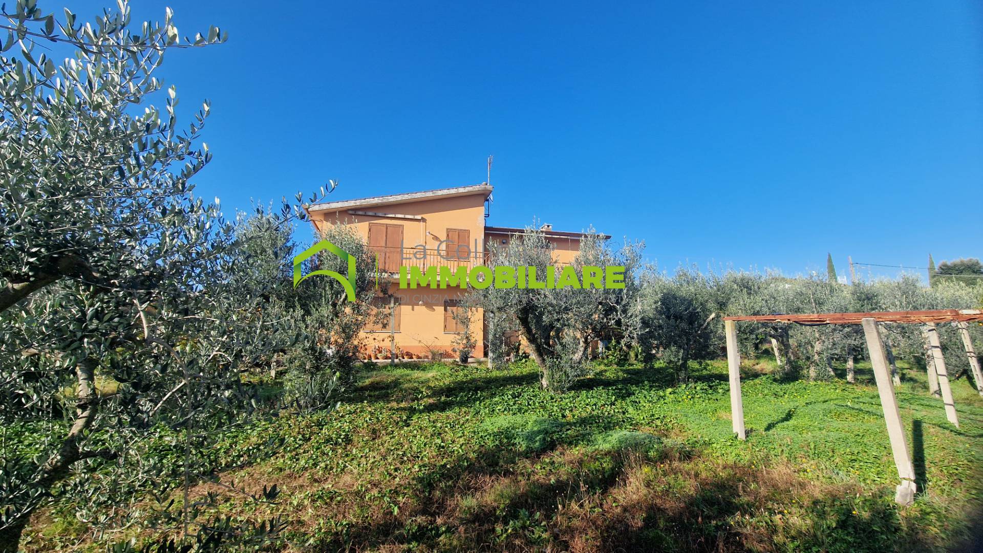 immagine annuncio 4 di 10