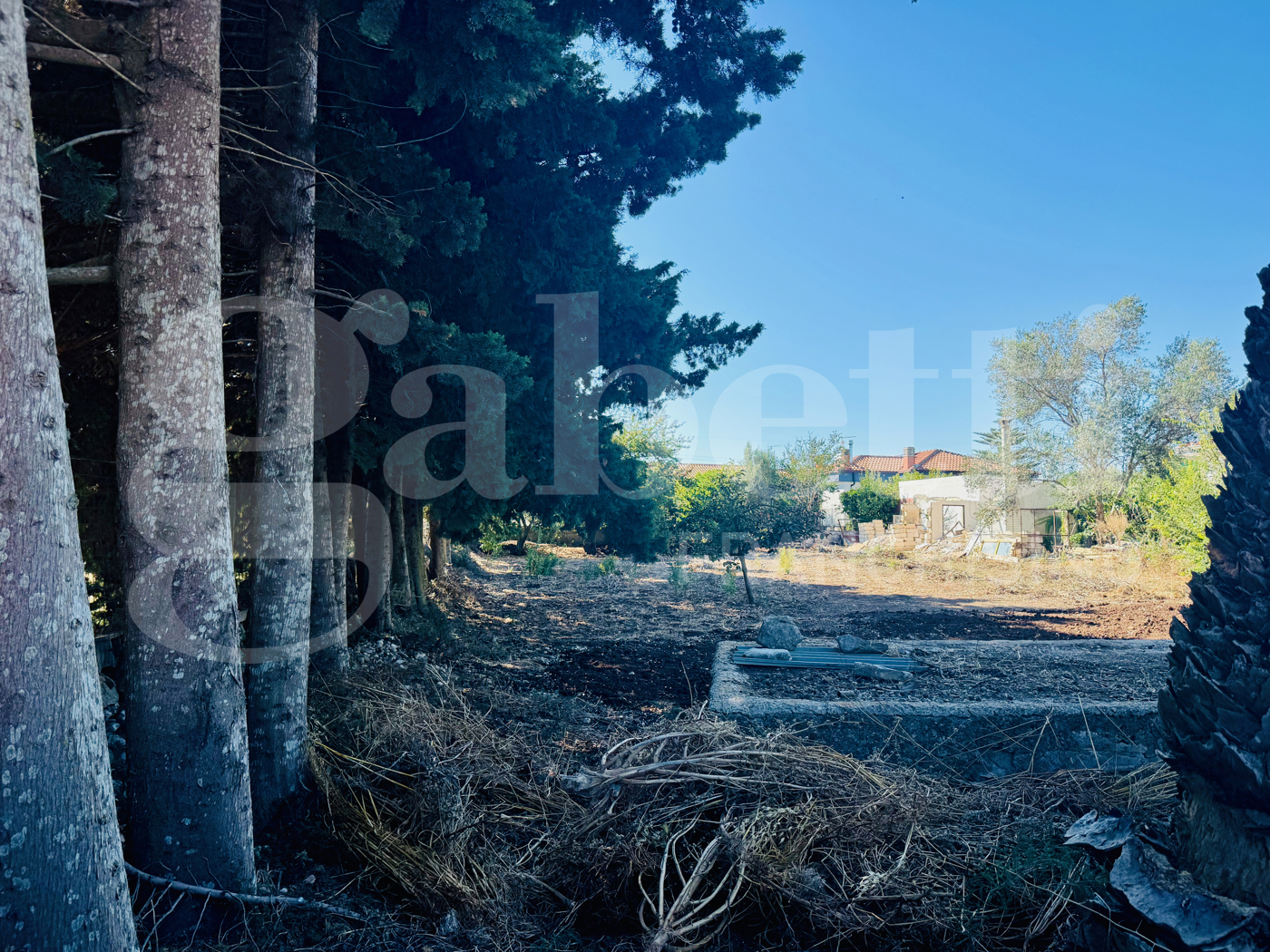 Terreno Agricolo in vendita a Ragusa