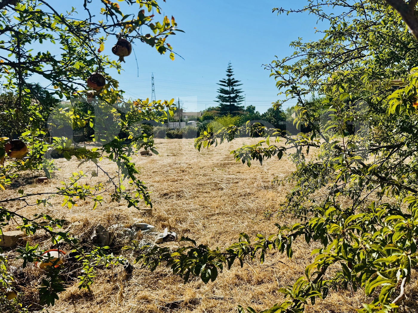 Terreno Agricolo in vendita a Ragusa
