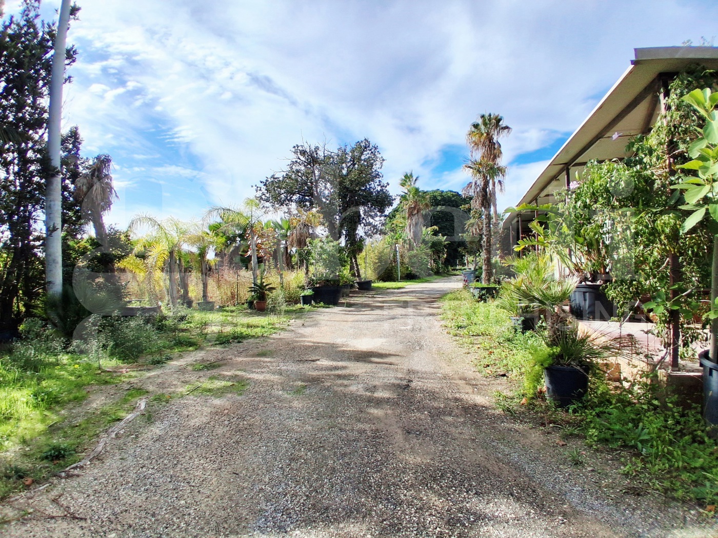 Terreno Agricolo in vendita a Ragusa