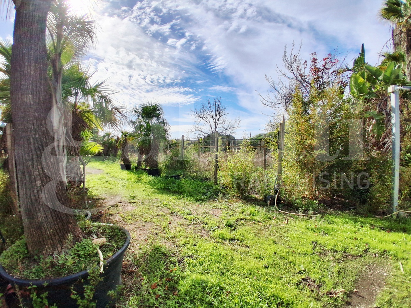 Terreno Agricolo in vendita a Ragusa