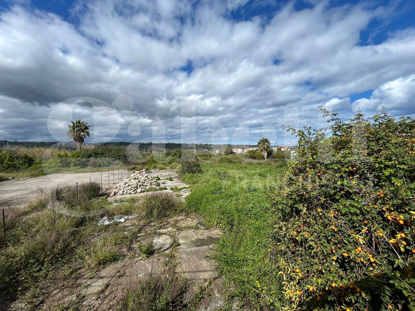 Terreno Agricolo in vendita a Torregrotta