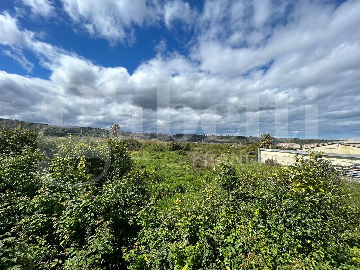 Terreno Agricolo in vendita a Torregrotta