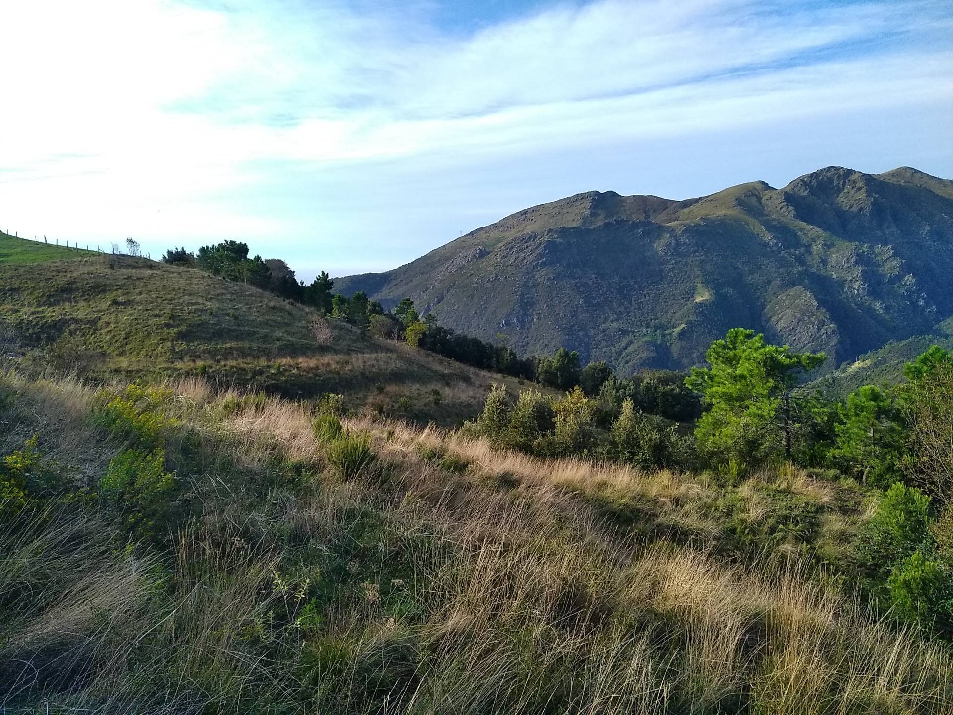 immagine annuncio 2 di 6