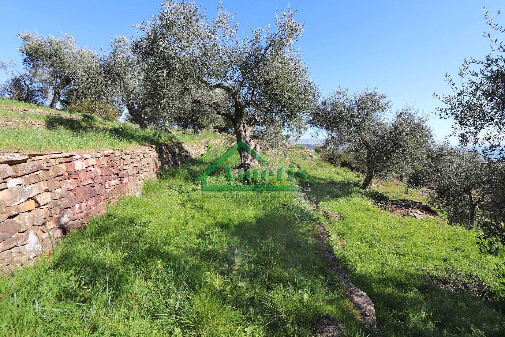 Terreno con Progetto in vendita a Diano Marina, Diano Serreta