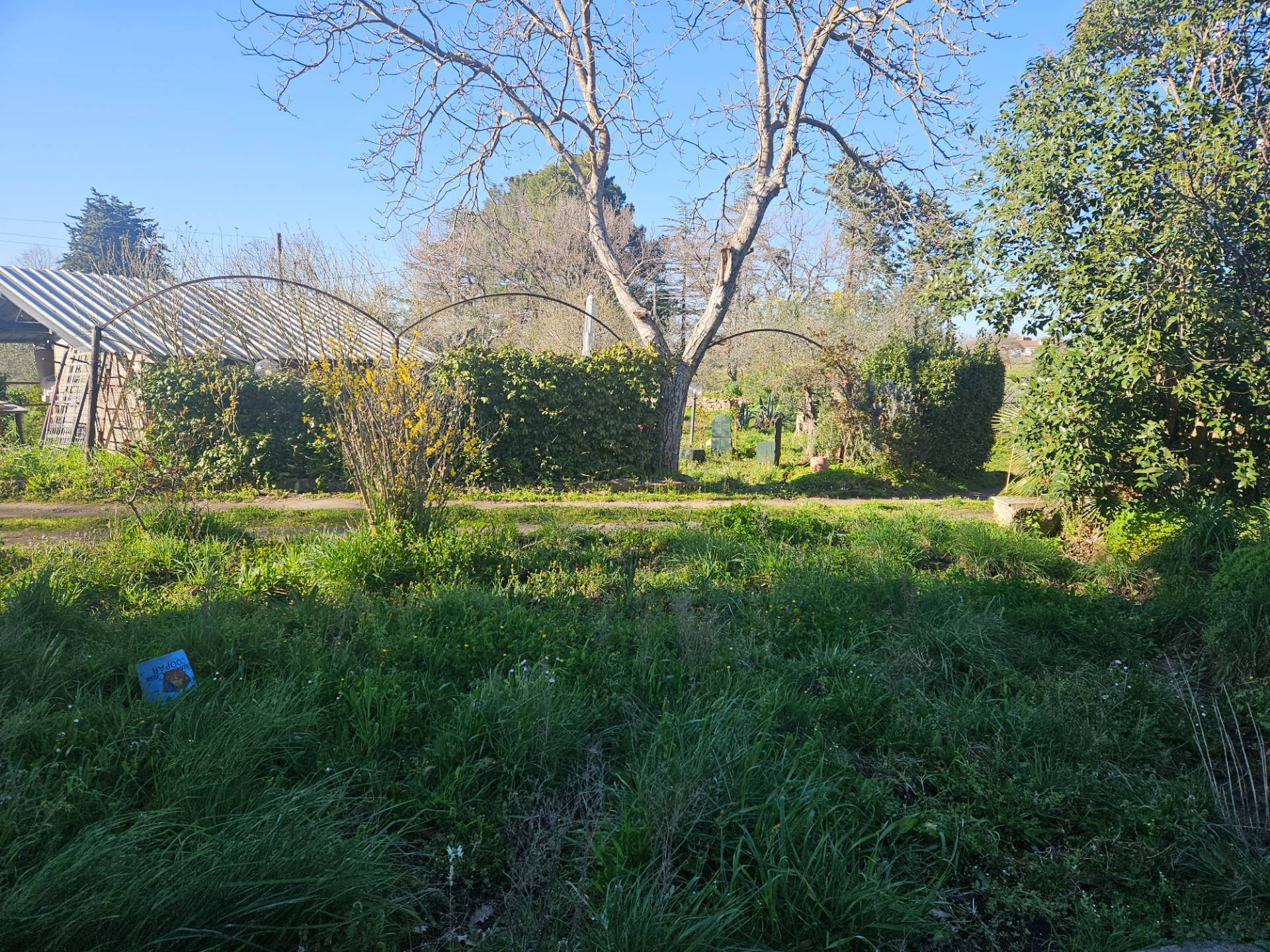 Porzione di Casa in vendita a Viterbo, Semicentro